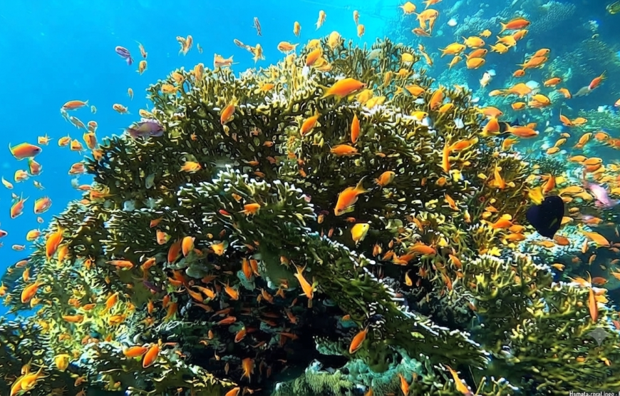 Hamata islands- the Egyptian Maldives
