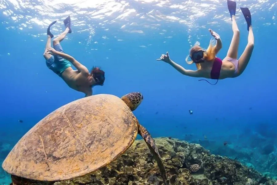 Abu Dabbab Private Beach Day – Flexible Hours & Optional Snorkeling