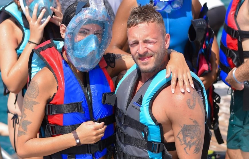 Dolphin House Samadai Reef Snorkeling Trip – Swim with Wild Dolphins!