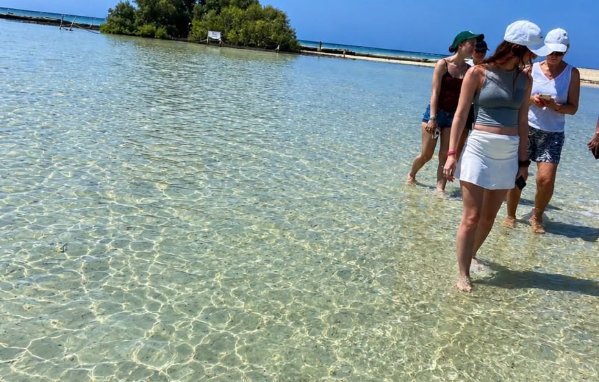 Sharm el Lulli & Wadi El Qulaan – Nature Escape & Serene Snorkeling