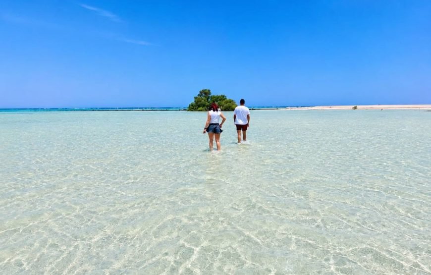 Sharm el Lulli & Wadi El Qulaan – Nature Escape & Serene Snorkeling