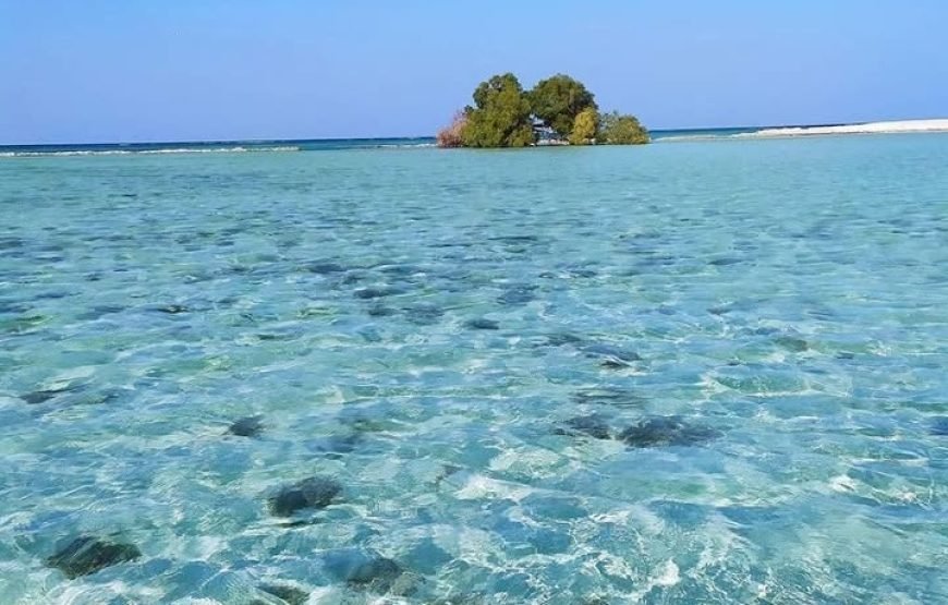 Sharm el Lulli & Wadi El Qulaan – Nature Escape & Serene Snorkeling