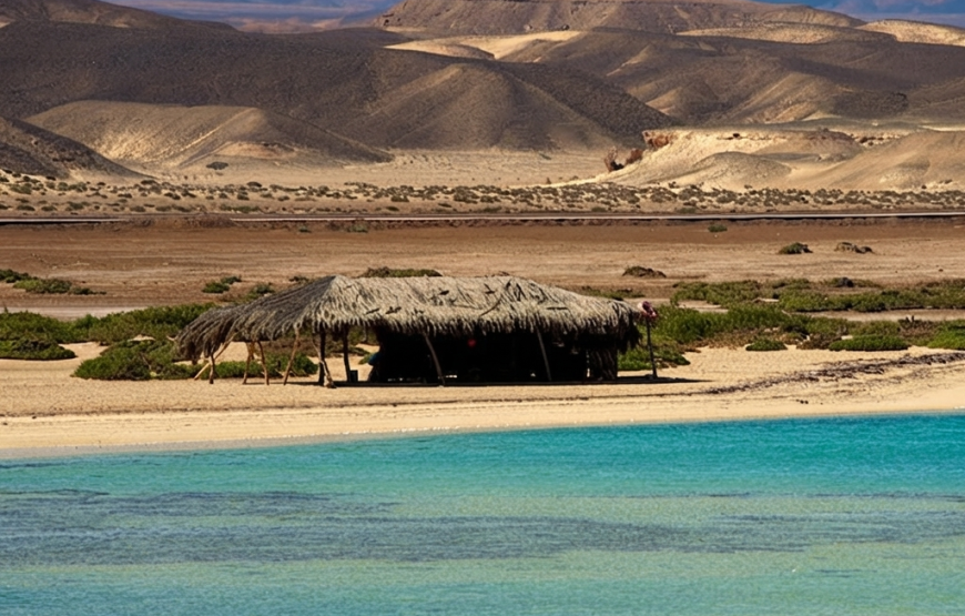 Sharm el Lulli & Wadi El Qulaan – Nature Escape & Serene Snorkeling