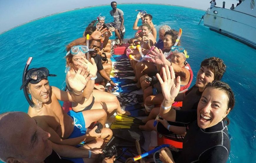 Dolphin House Samadai Reef Snorkeling Trip – Swim with Wild Dolphins!