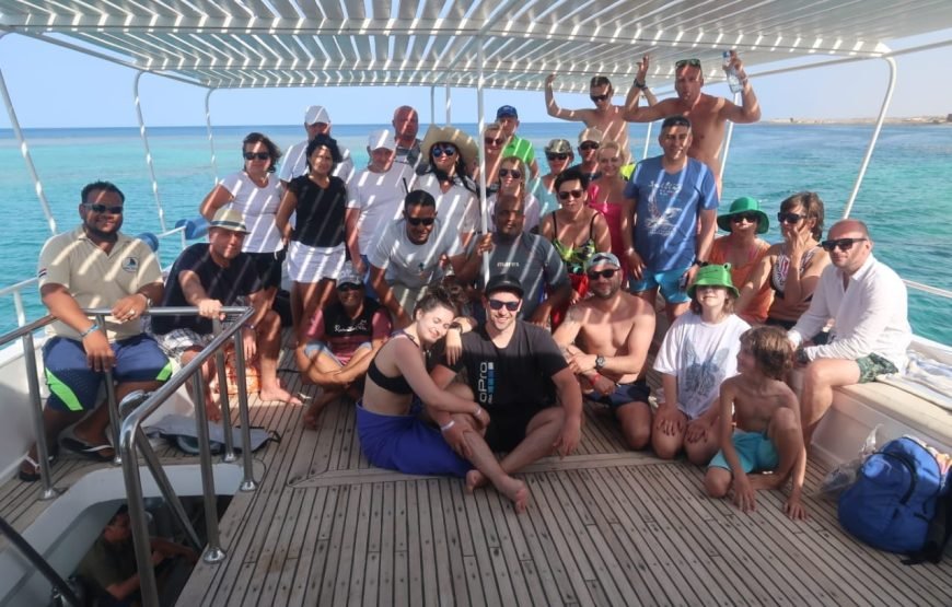 Dolphin House Samadai Reef Snorkeling Trip – Swim with Wild Dolphins!