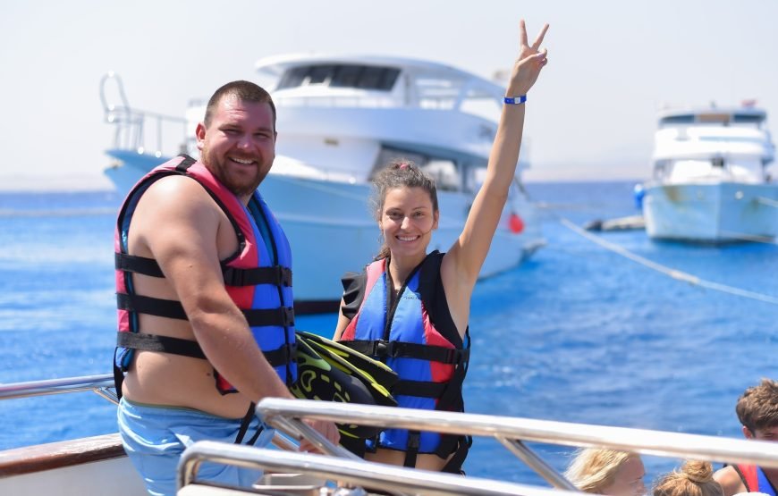 Dolphin House Samadai Reef Snorkeling Trip – Swim with Wild Dolphins!
