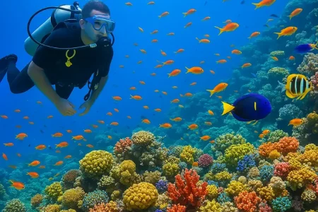 Discover Scuba Diving in Marsa Alam – Dive with Dugongs & Turtles at Marsa Mubarak