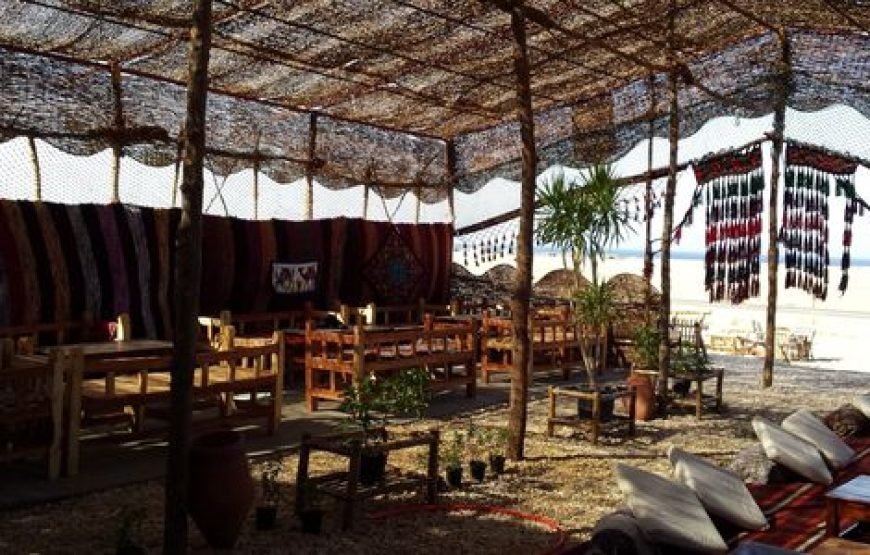 Super Quad Safari in Marsa Alam