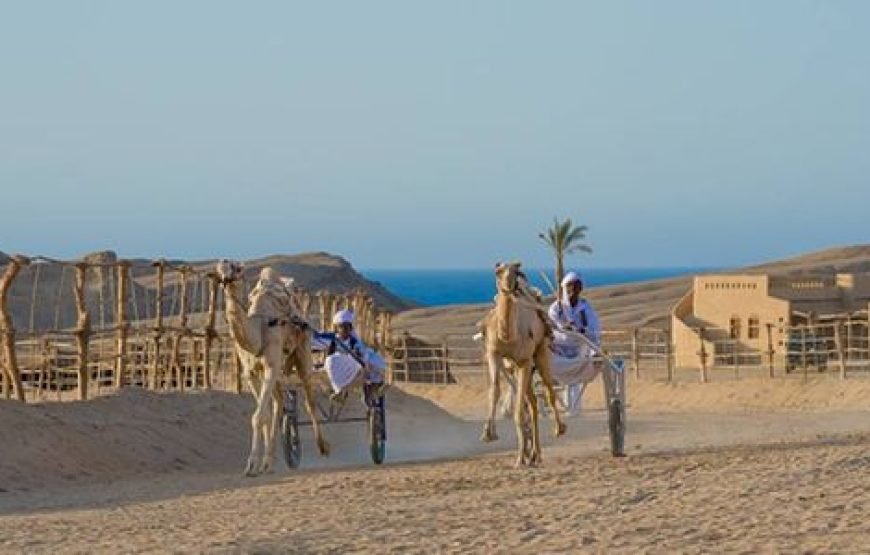 Super Quad Safari in Marsa Alam