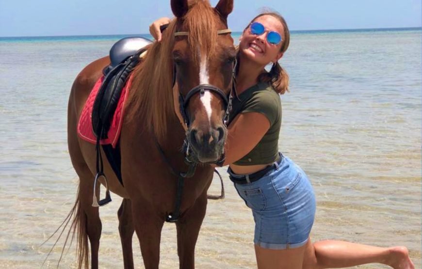 Desert & Beach Horseback Riding