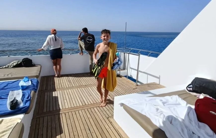 Sataya Dolphin Reef Snorkeling Adventure – Swim with Dolphins in the Red Sea