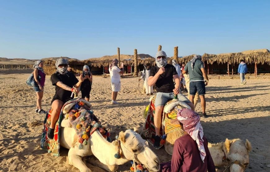 2 Hours of Desert and Beach Fun