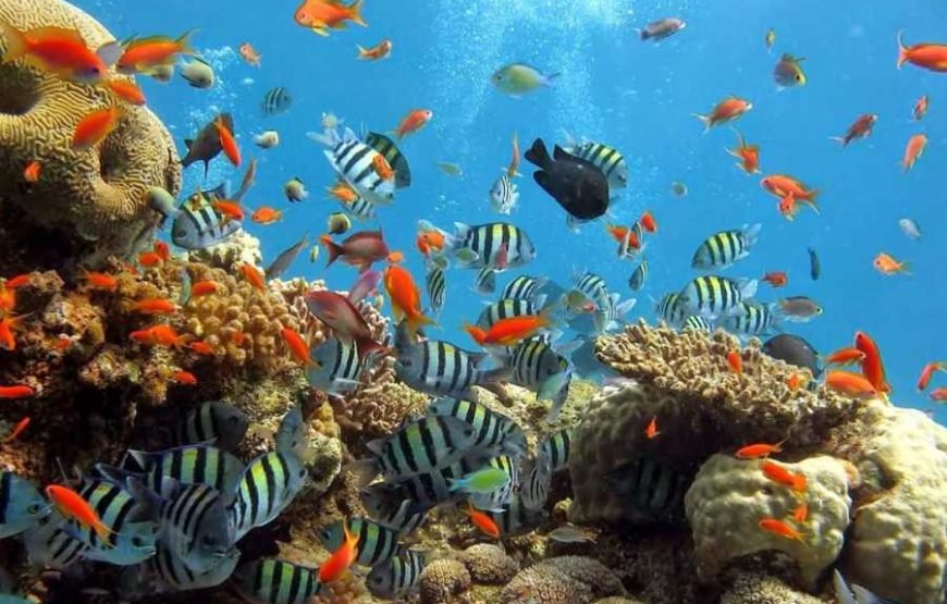 Hamata islands- the Egyptian Maldives
