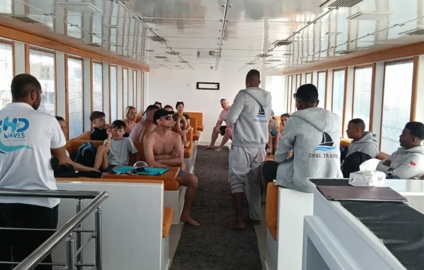 Sataya Dolphin Reef Snorkeling Adventure – Swim with Dolphins in the Red Sea