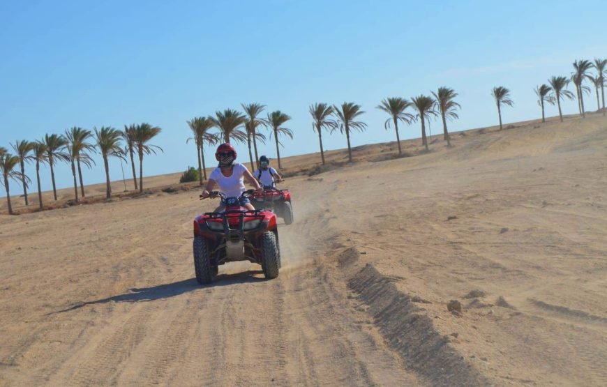 Quad Bike & Camel Ride Safari – An Unforgettable Desert Adventure in Marsa Alam!