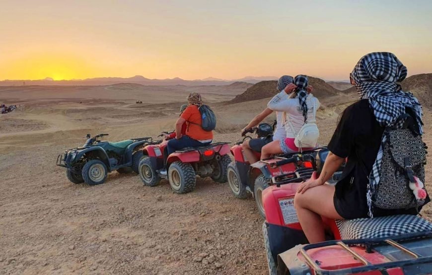 Quad Bike & Camel Ride Safari – An Unforgettable Desert Adventure in Marsa Alam!