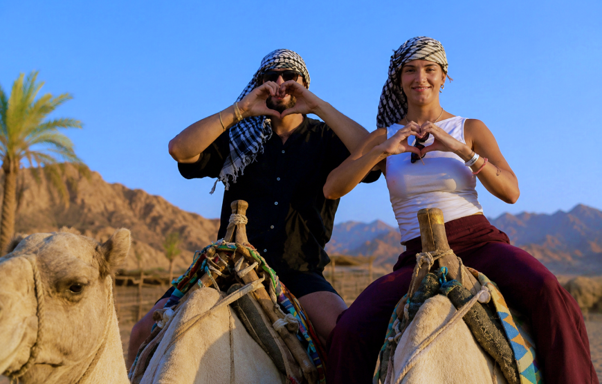 Quad Bike & Camel Ride Safari – An Unforgettable Desert Adventure in Marsa Alam!