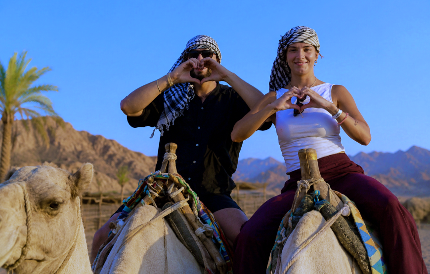 2 Hours of Desert and Beach Fun