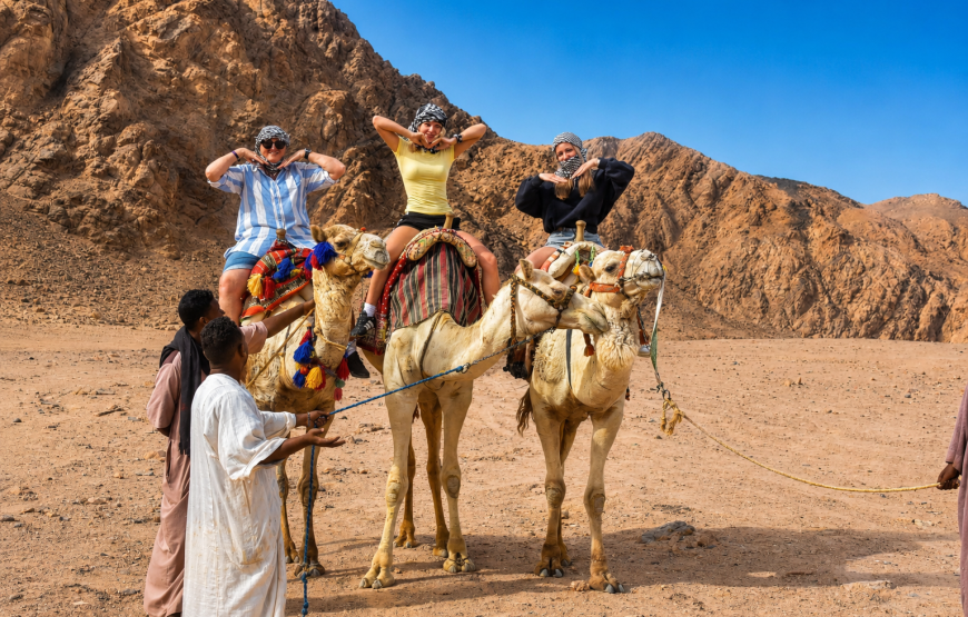 Super Safari Adventure: Jeep, Quads, Camels & Sunset BBQ in Marsa Alam