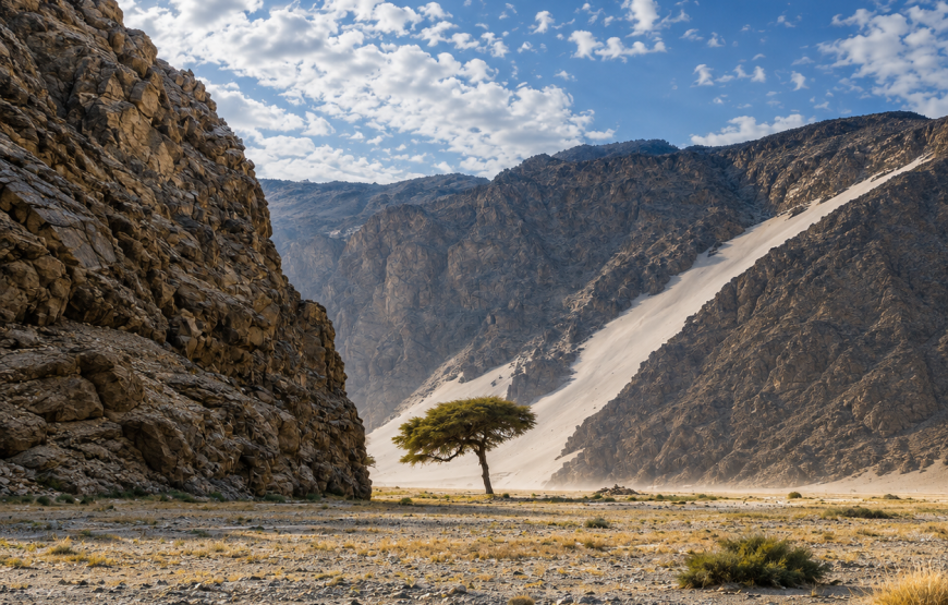Super Safari Adventure: Jeep, Quads, Camels & Sunset BBQ in Marsa Alam
