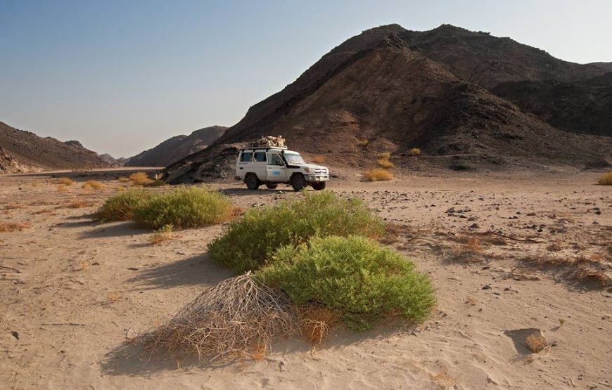 Super Safari Adventure: Jeep, Quads, Camels & Sunset BBQ in Marsa Alam