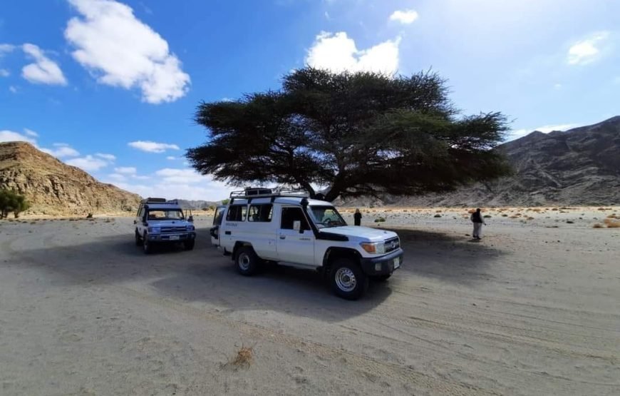 Super Safari Adventure: Jeep, Quads, Camels & Sunset BBQ in Marsa Alam
